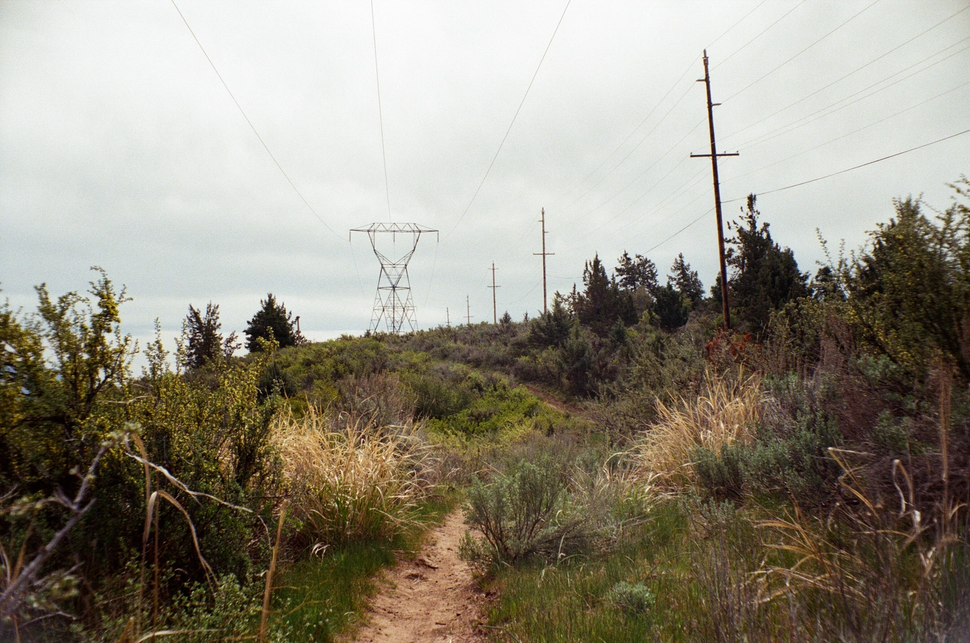 A photo of a path towards a power line tower