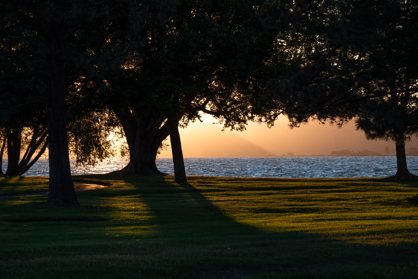 A photo of the sun beaming down on grass, trees, and a lake