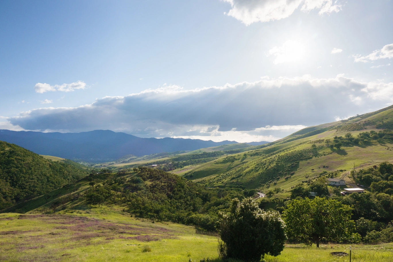 A photo of a lushous green rogue valley