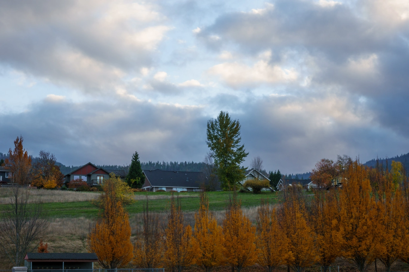 A photo of orange trees, houses, and clouds