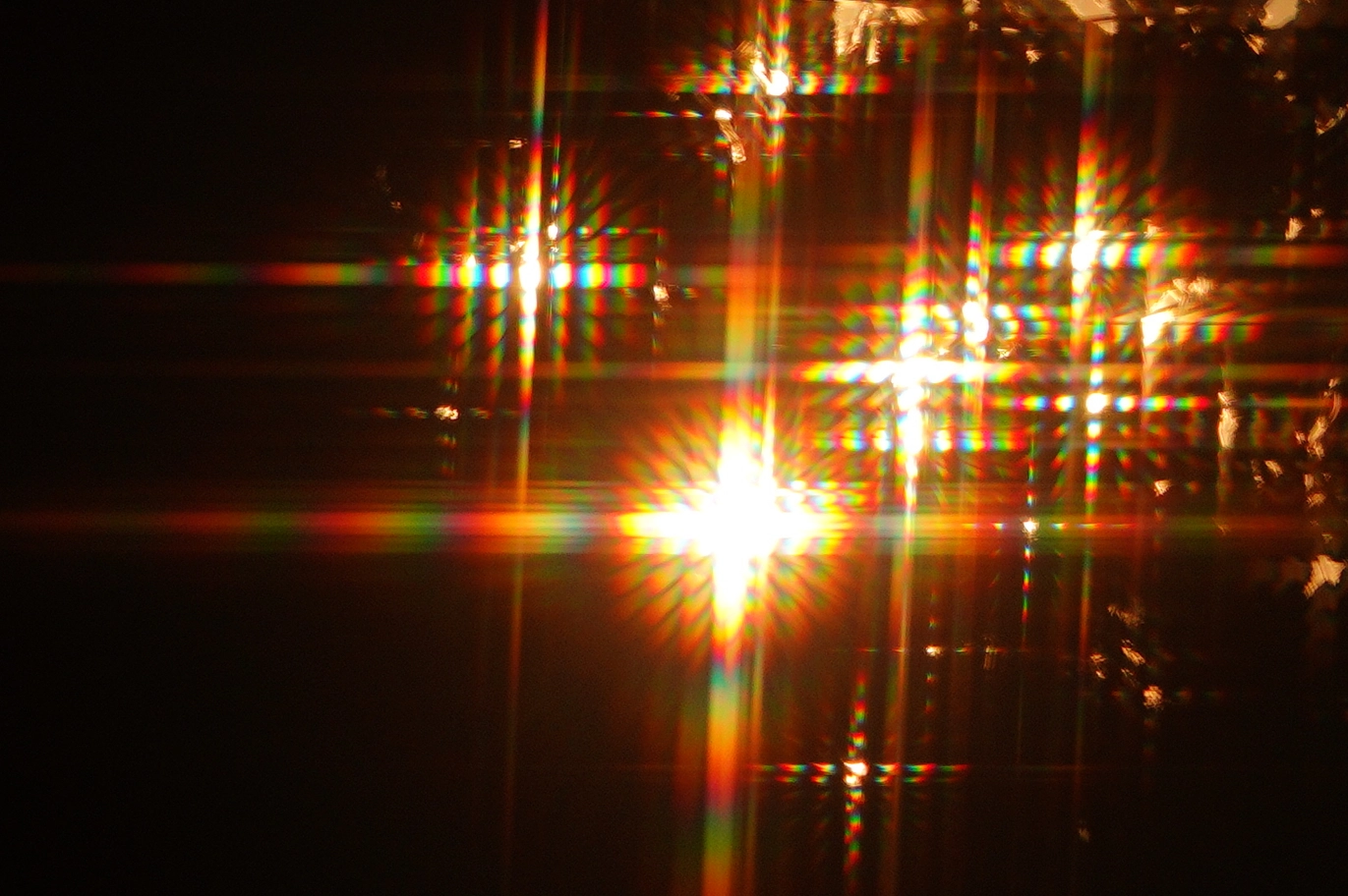 A photo of the orange sun shot through leaves and a bug screen