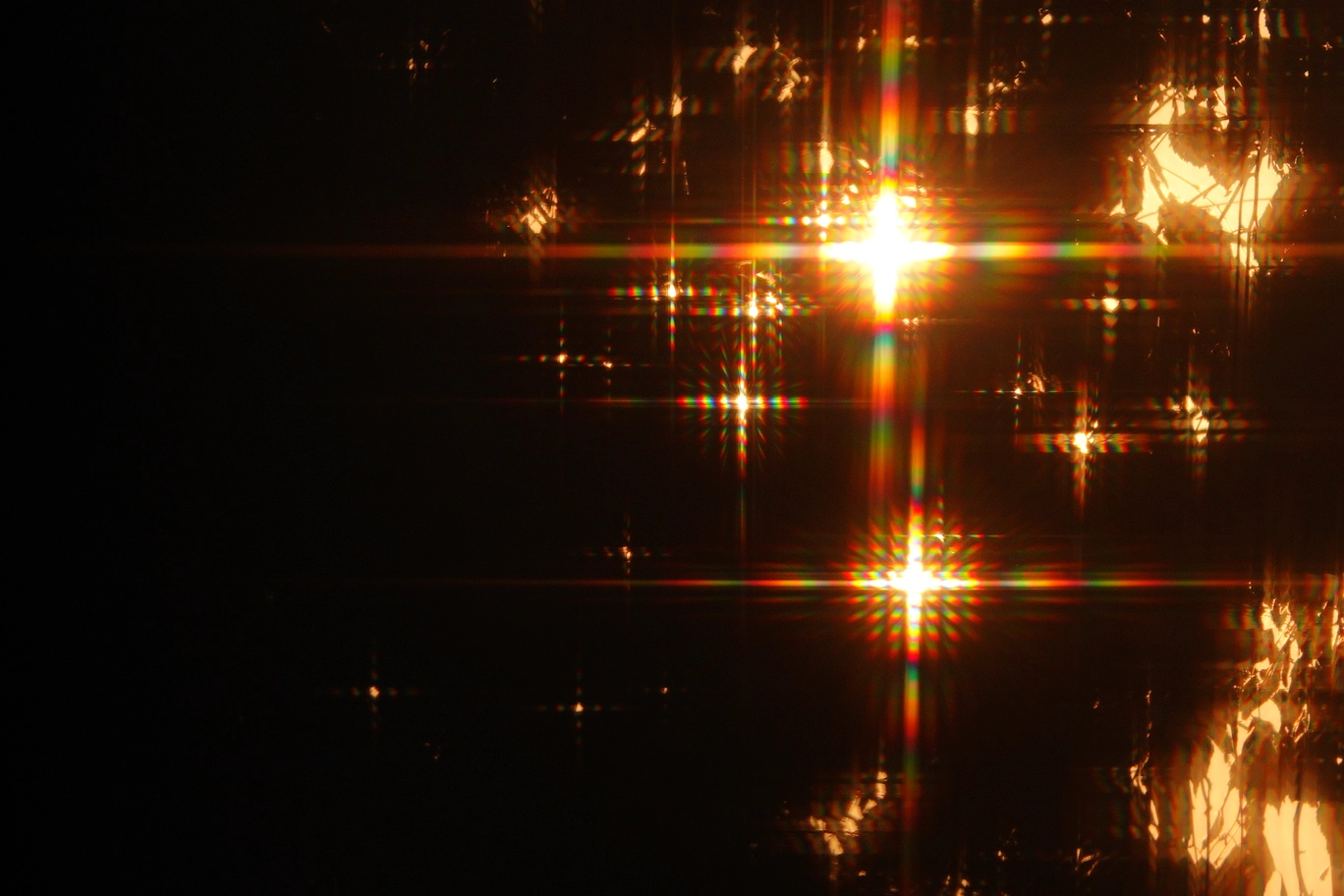 A photo of the orange sun shot through leaves and a bug screen