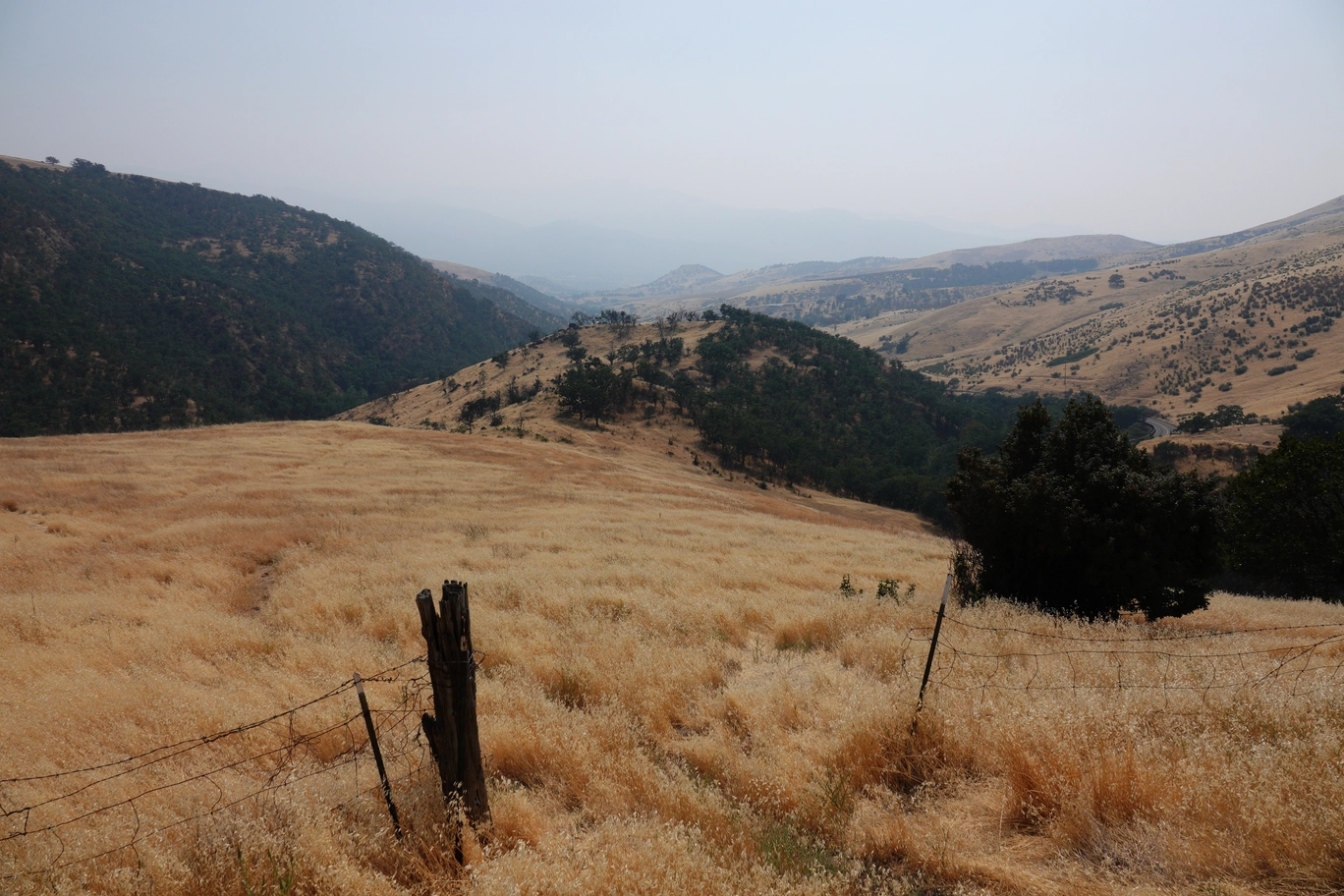 A photo of a smokey rogue valley