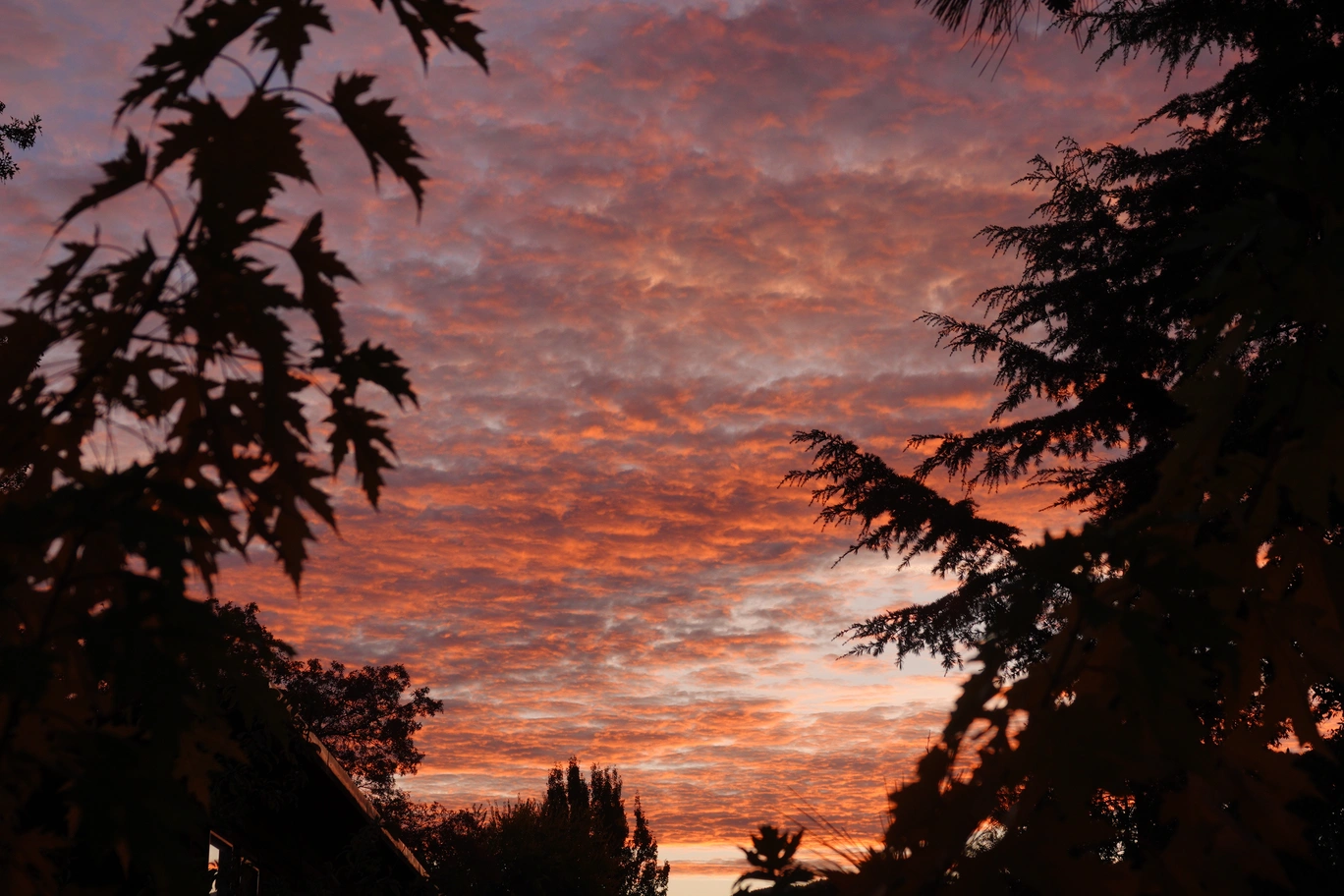 A photo of orange clouds during sunrise