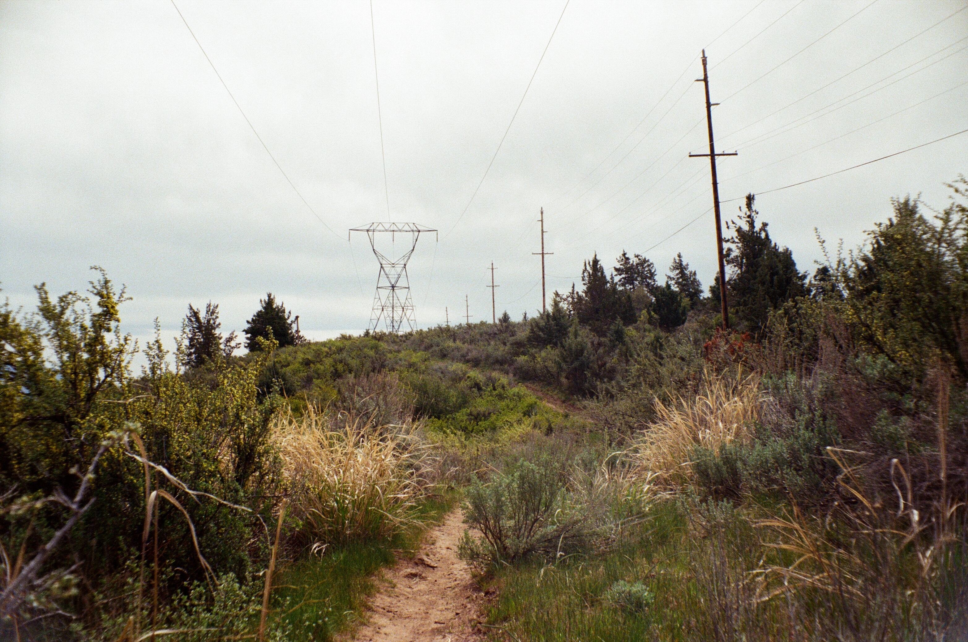 A photo of a path towards a power line tower