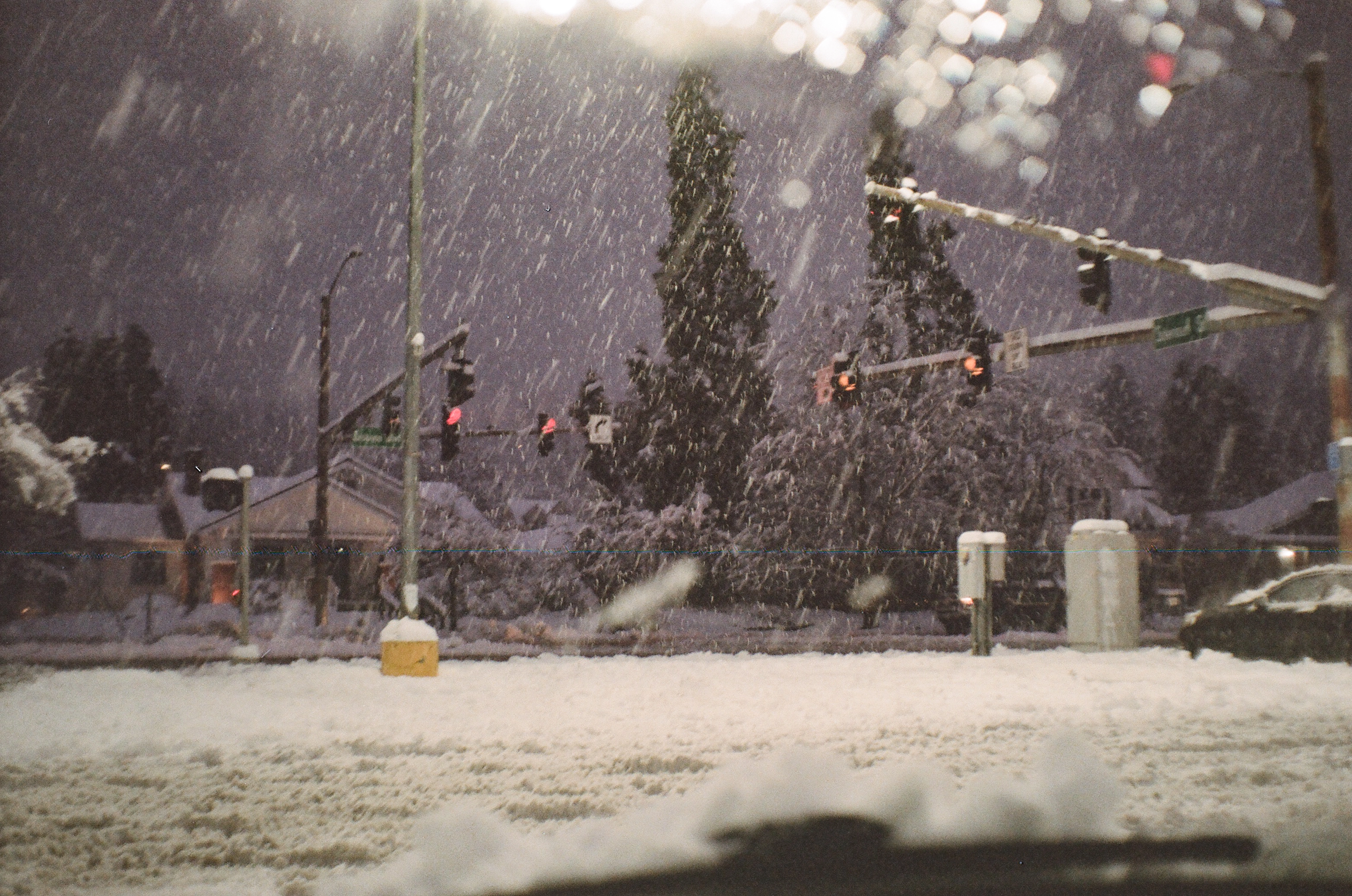 A photo of traffic lights during heavy snowfall