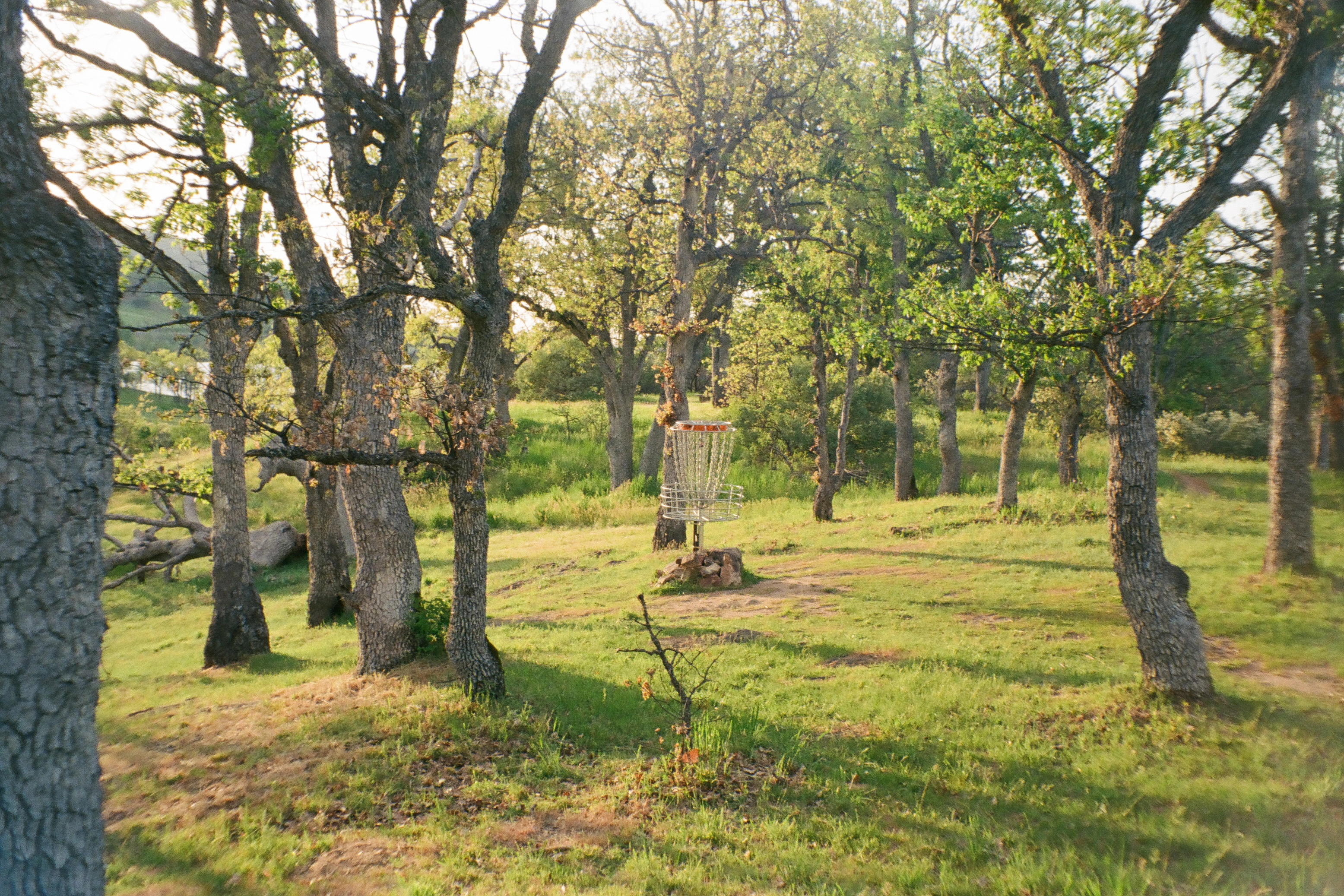 A photo of a disk golf net surrounded by trees