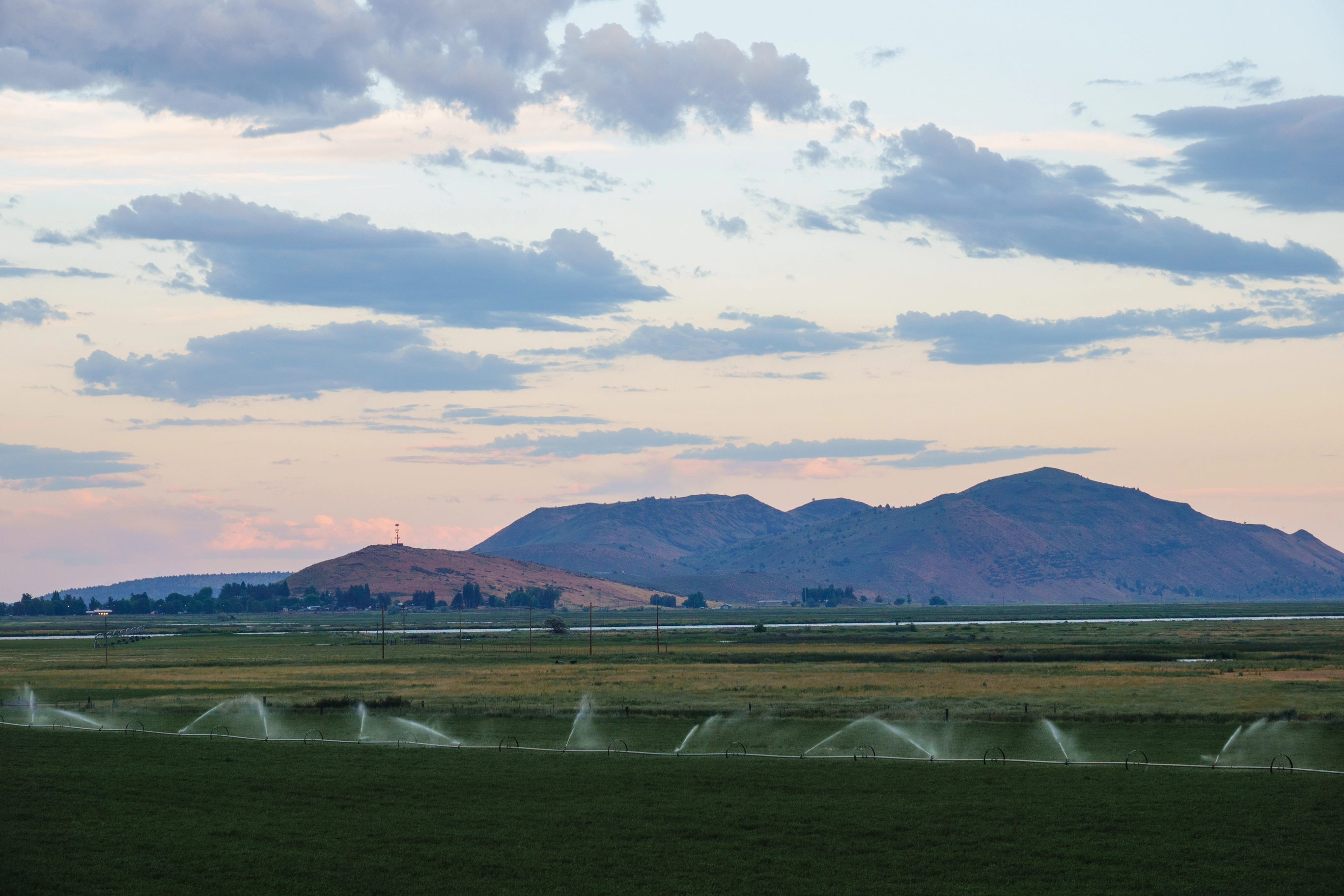 A photo of a field with an irrigation system during the sunset