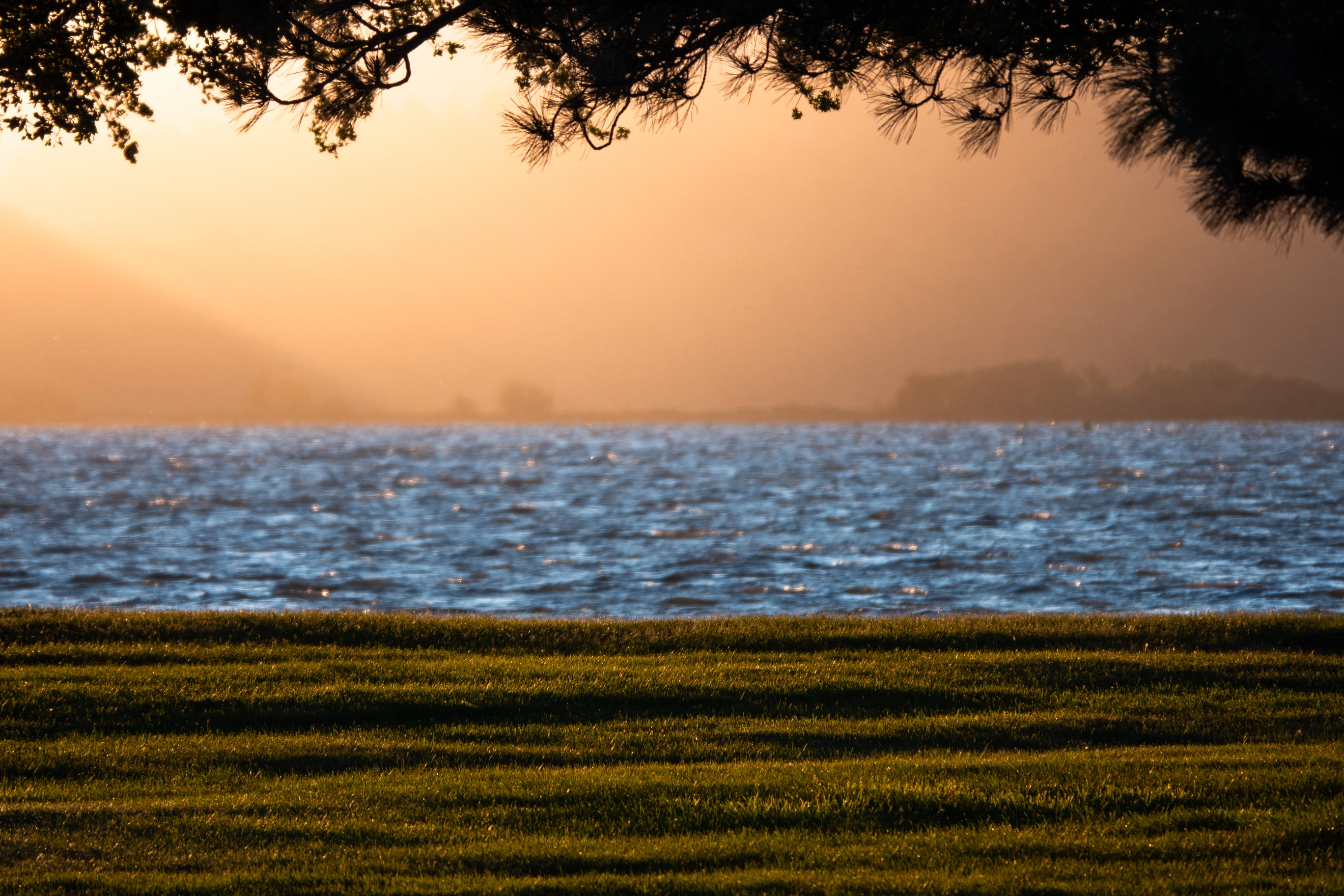 A photo of the sun beaming down on grass, trees, and a lake