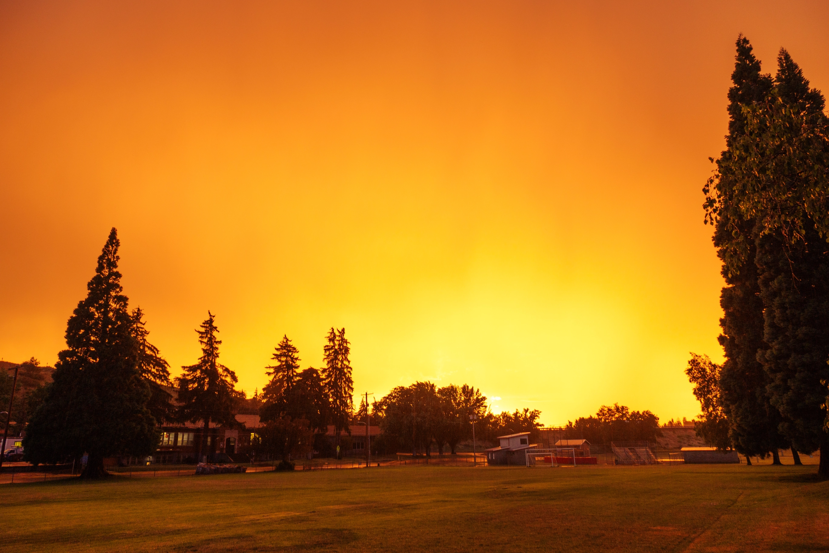 A photo of a very bright and vibrant pure yellow sky