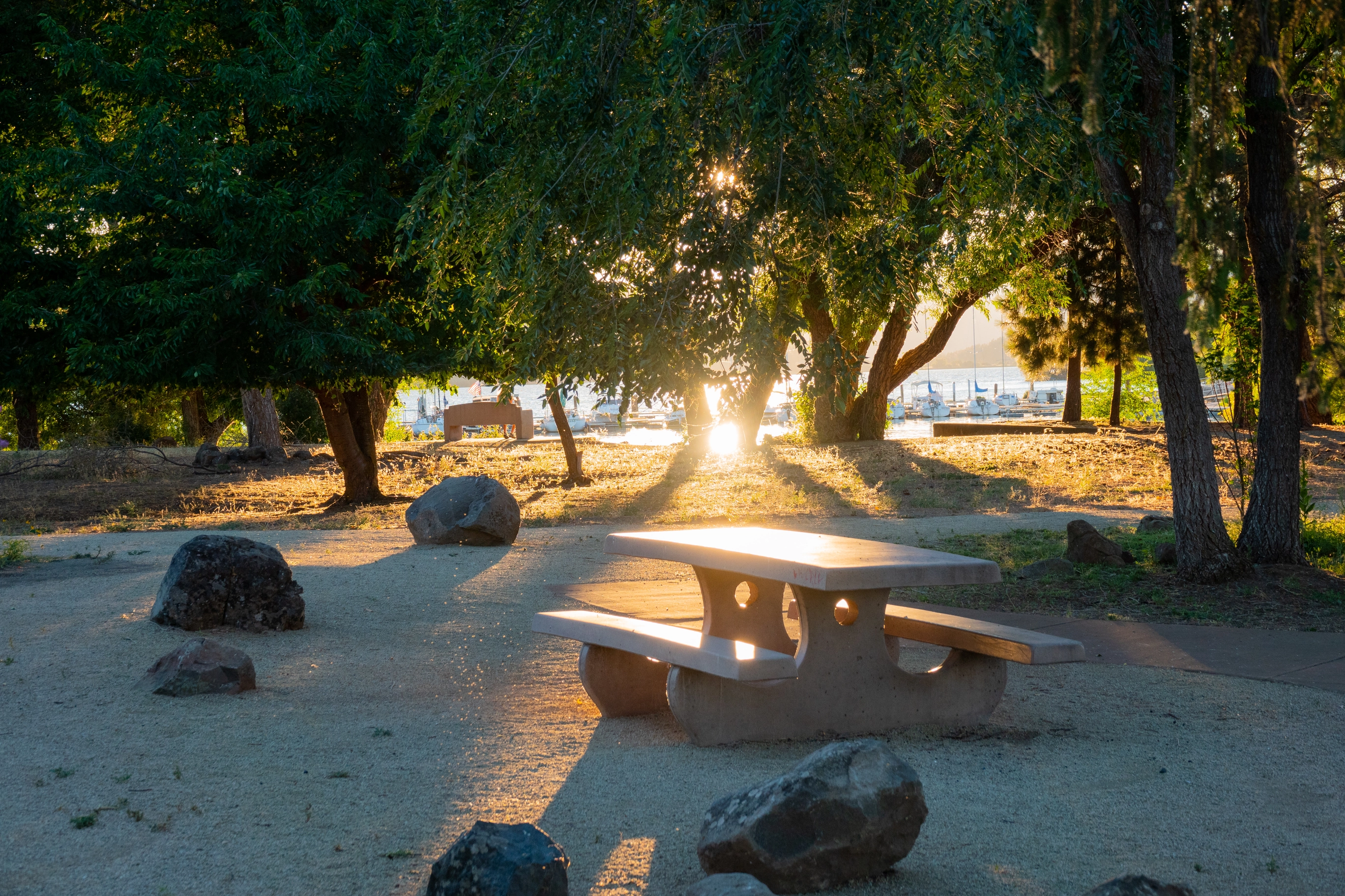 A photo of the sun reflecting off a picnic table