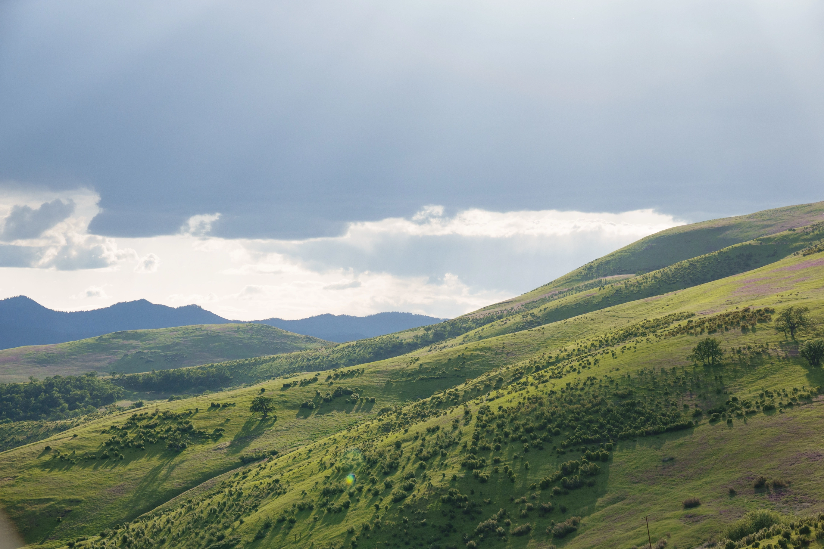 A photo of green hills and the sun