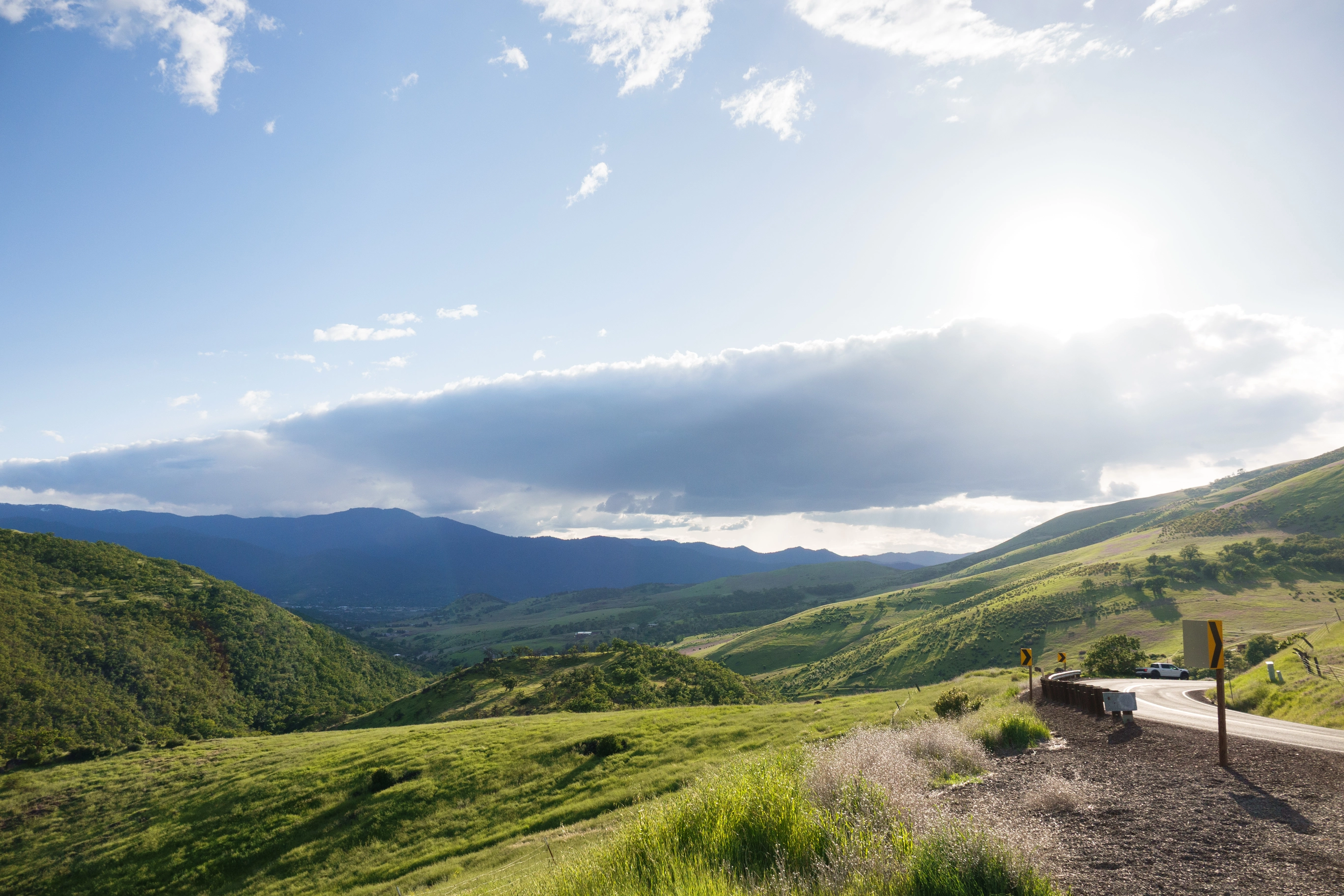 A photo of a lushous green rogue valley