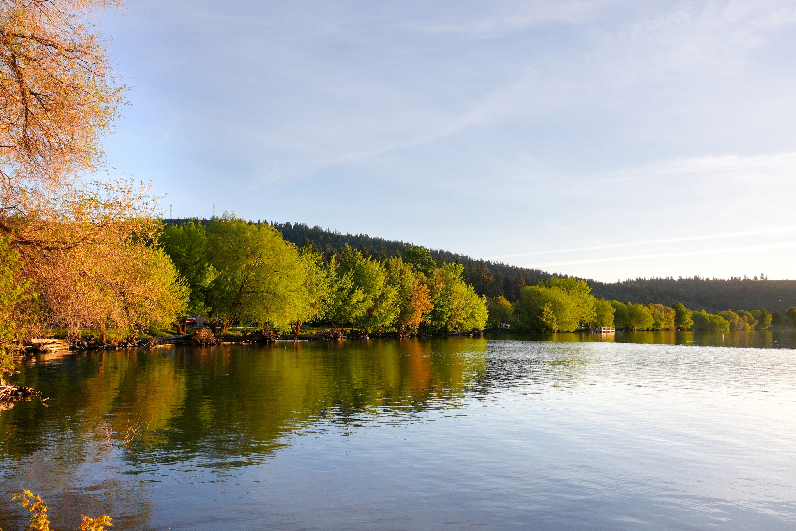 A photo of green and yellow trees reflecting on a lake