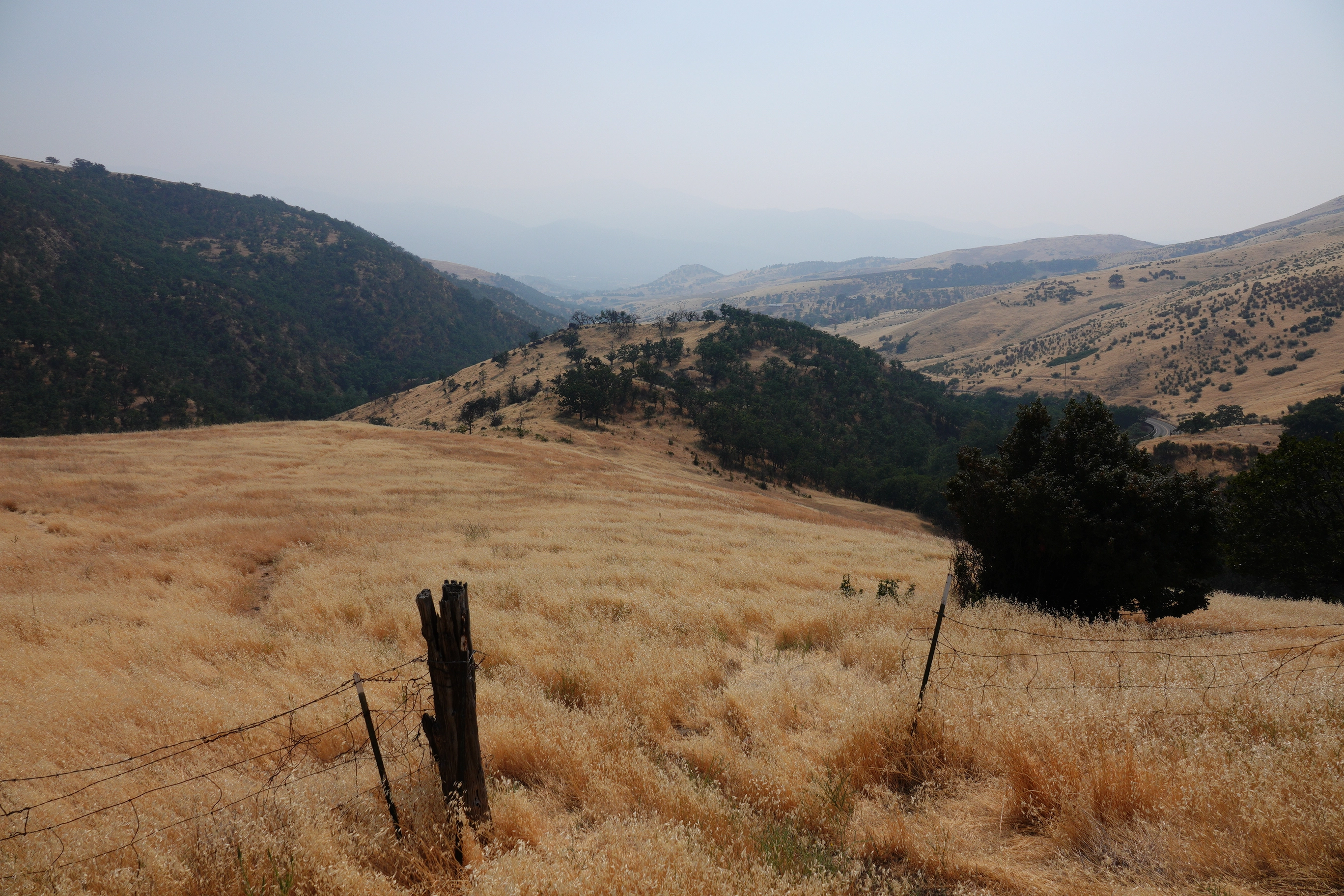 A photo of a smokey rogue valley