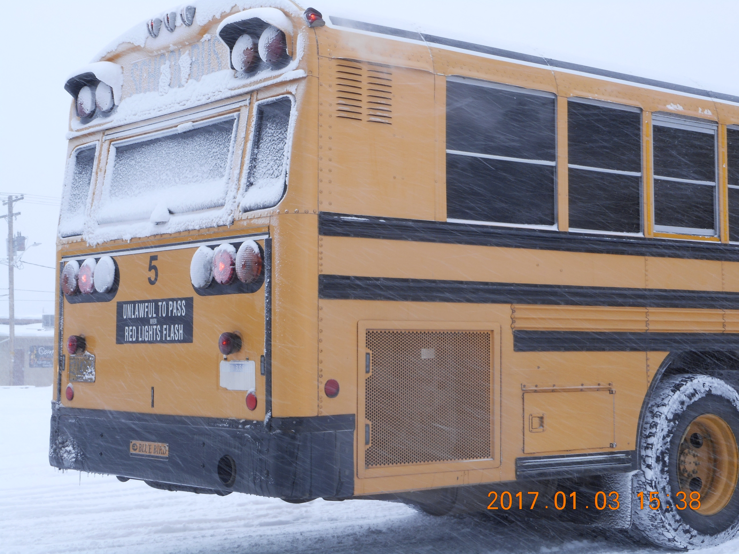 A photo of the back of a school bus on a snowy day
